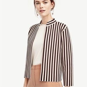 Striped Ann Taylor Knit Women's Jacket